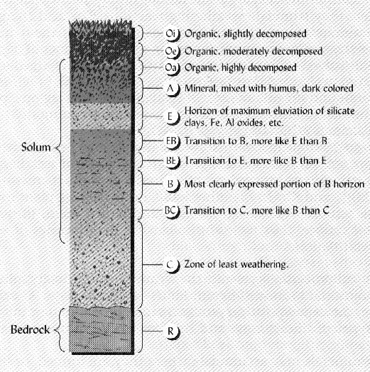 Diagram of Soil Layers
