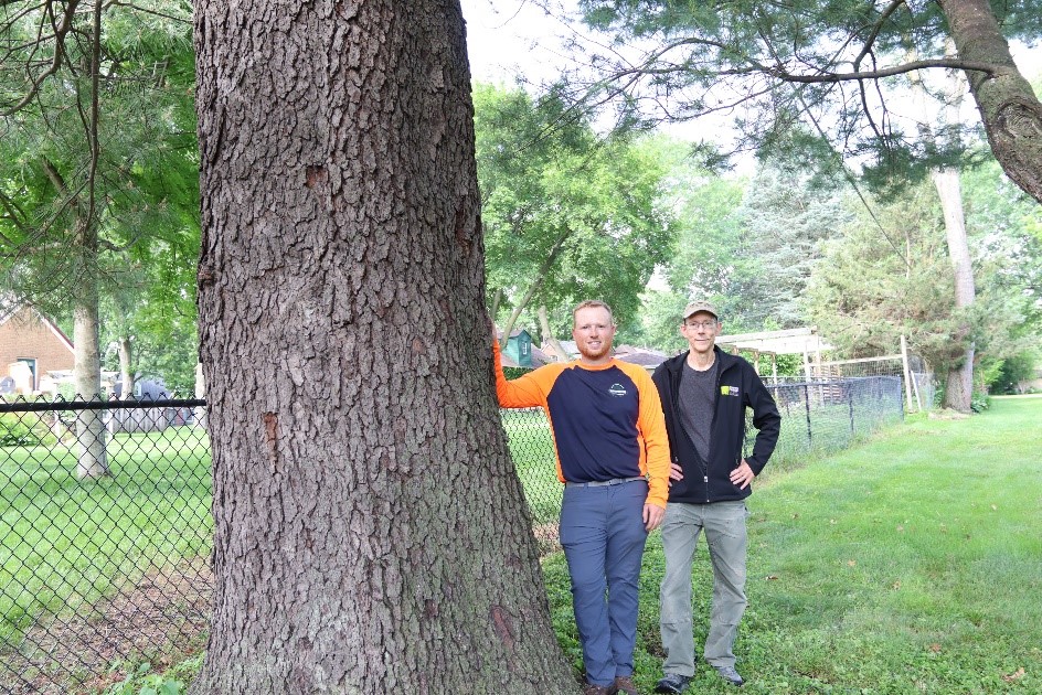 The TreeHuggers Iowa Arborist Association