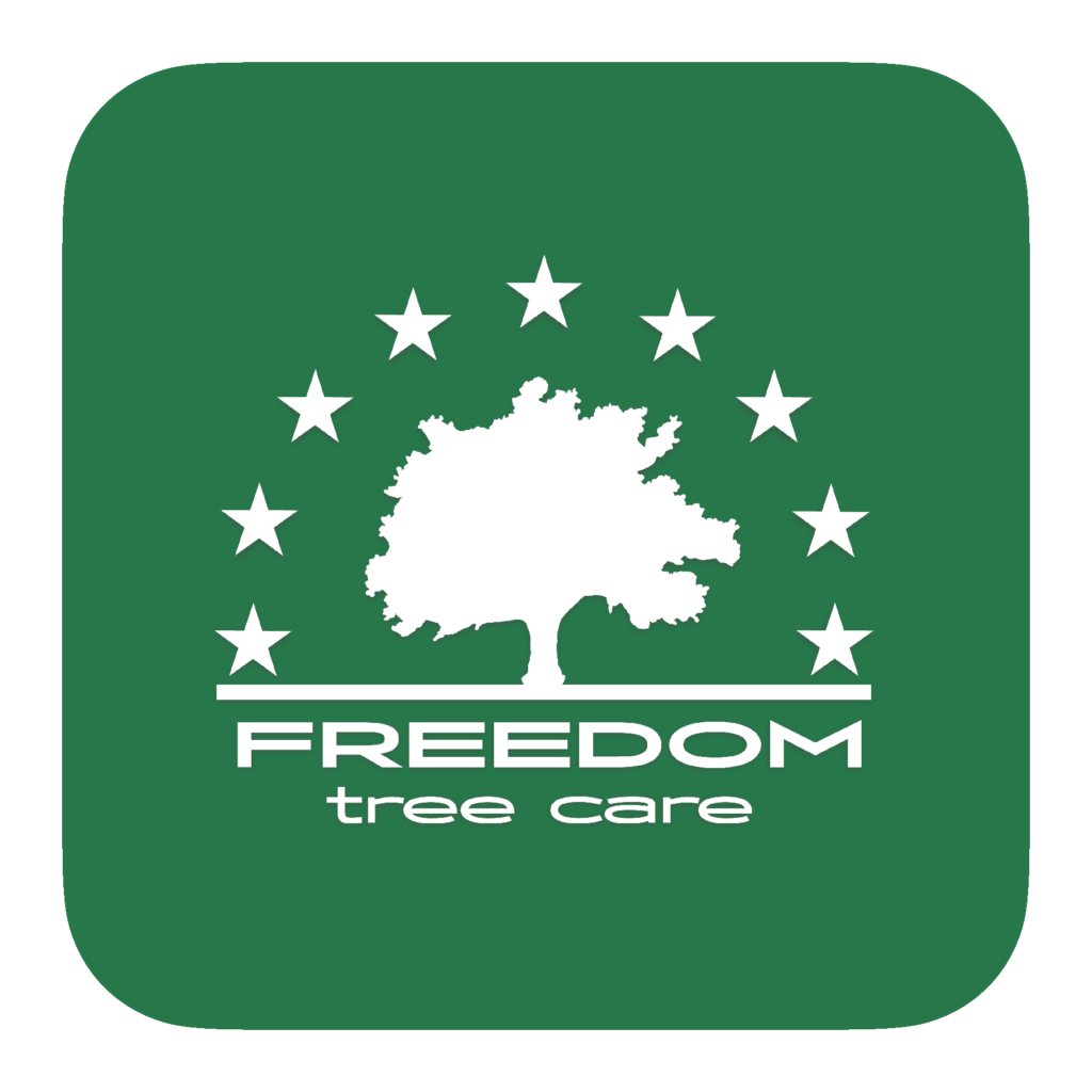 FTC-Green-background