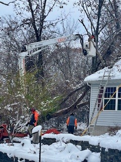 thumbnail_image009-1